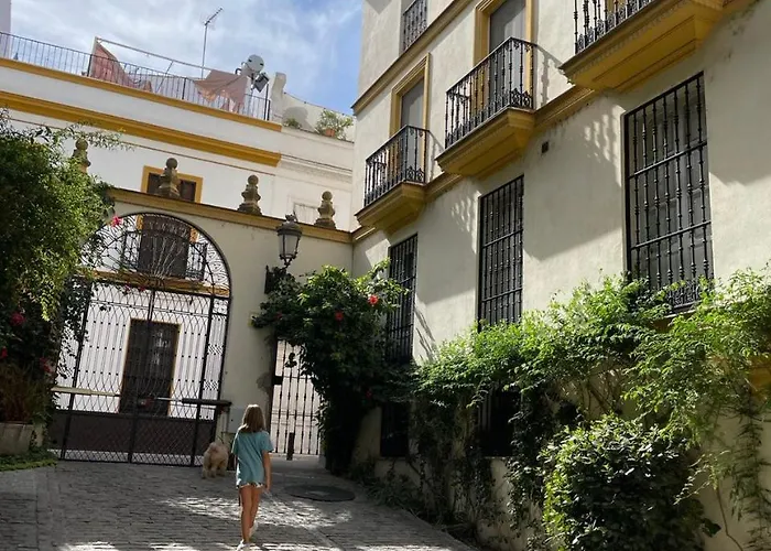 Sevilla Centro-Casco Antiguo -Vidrio 36