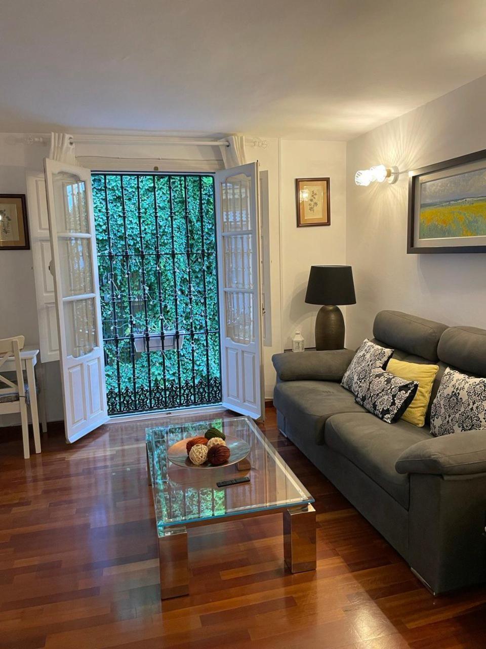 Appartement Centro-casco Antiguo -vidrio 36 *